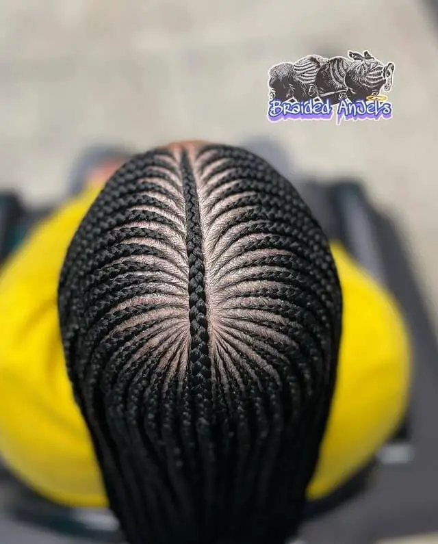 fishbone braids