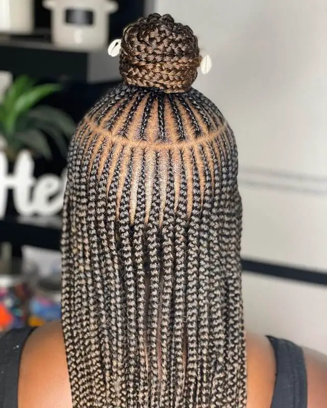 2 layer braids with bun