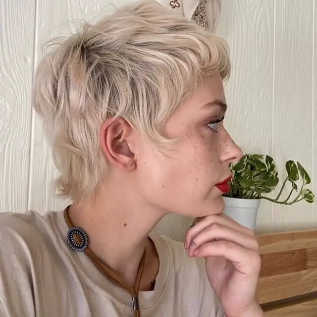 messy pixie bob