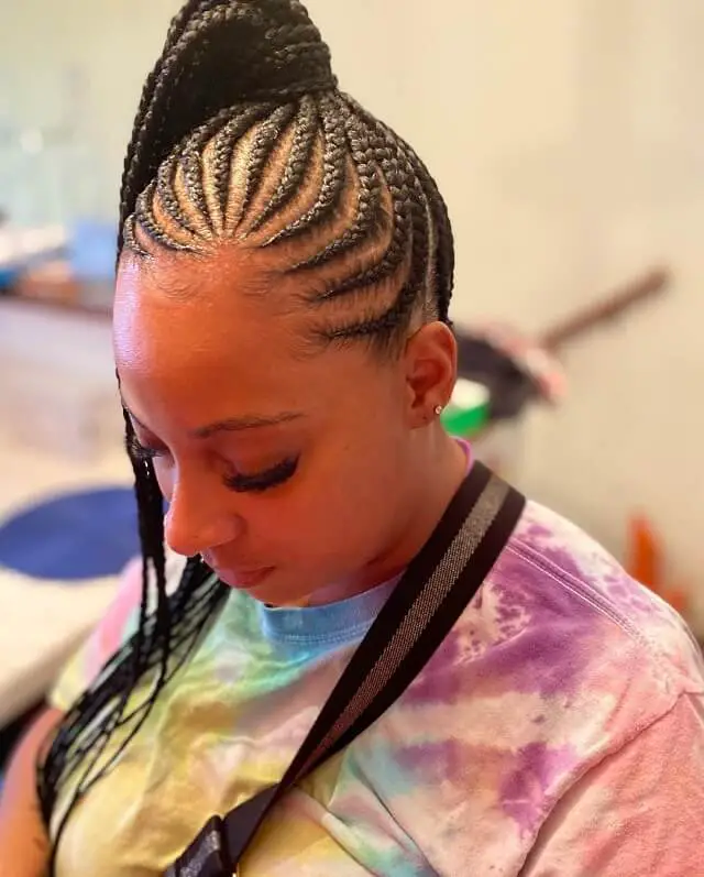 feed in ponytail small braids
