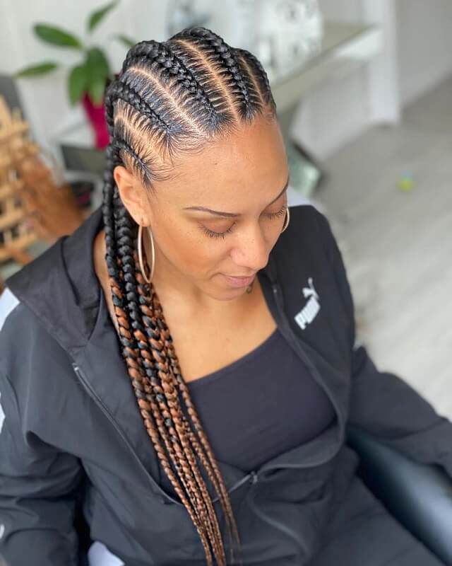 Highlighted Fishbone Braids