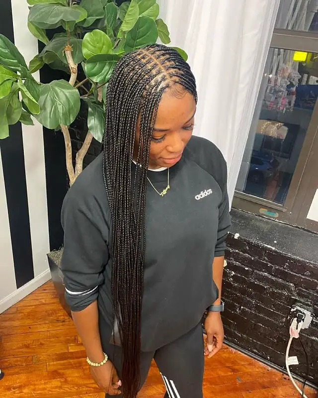  long micro box braids