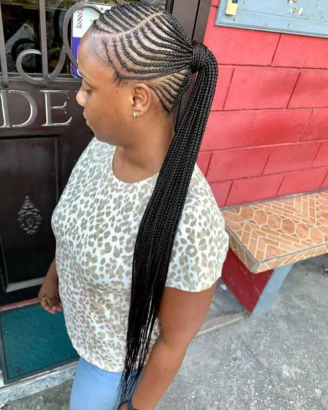 fulani braids ponytail