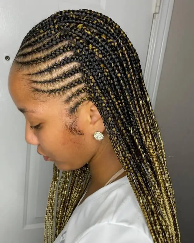 fulani braids with highlights 