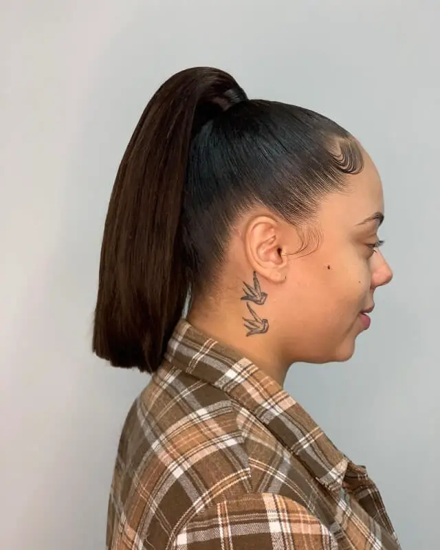  invisible high ponytail