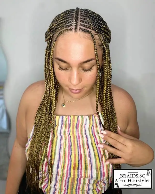 medium fulani braids