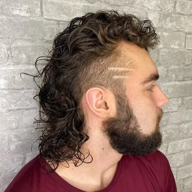 Mexican curly mullet 